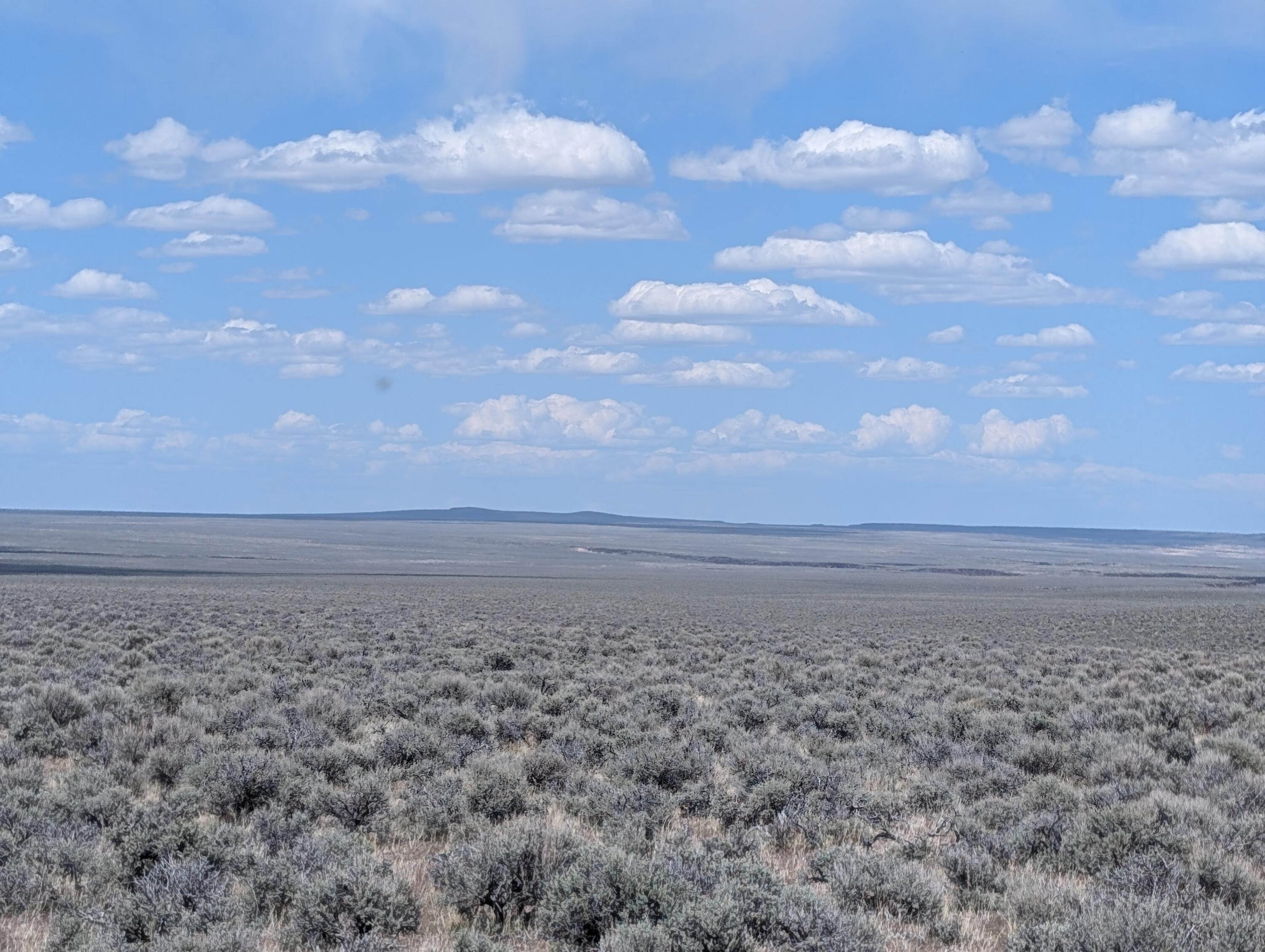 Black Canyon Road Adel, OR 97620 - Photo 7 of 10 06