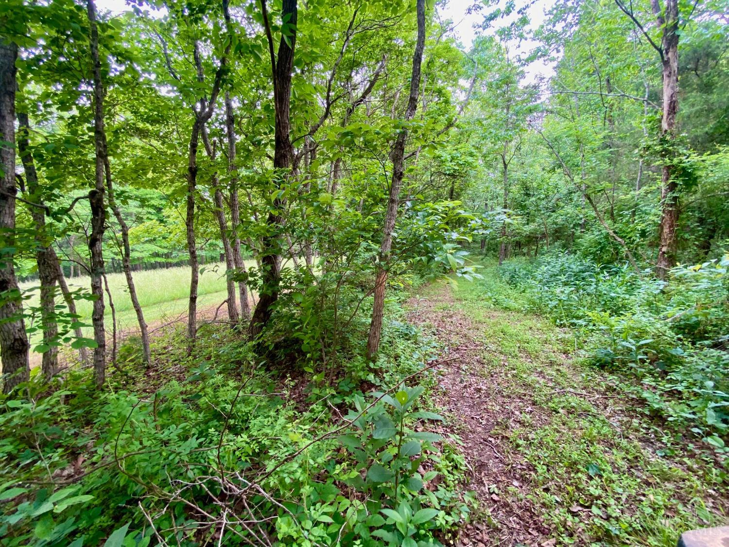 85 Pfeifer Road Manchester, OH 45144 - Photo 7 of 15