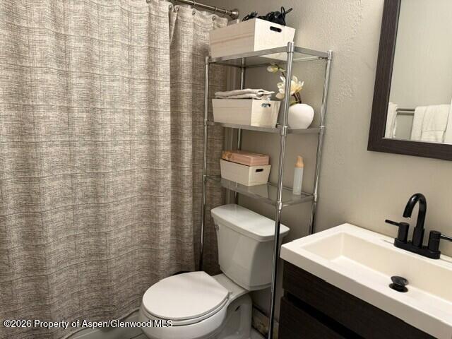 101 Emma Road, Unit 45 Basalt, CO 81621 - Photo 16 of 17 Hall Bathroom