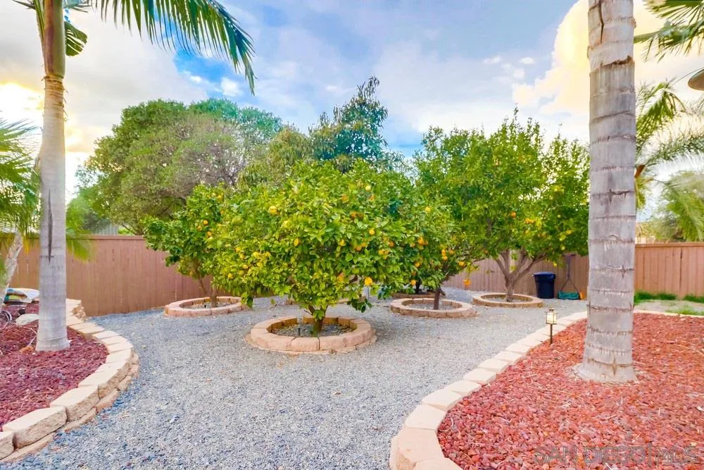 2818 Valley Knolls Road Jamul, CA 91935 - Photo 20 of 28 Gallery Image 20