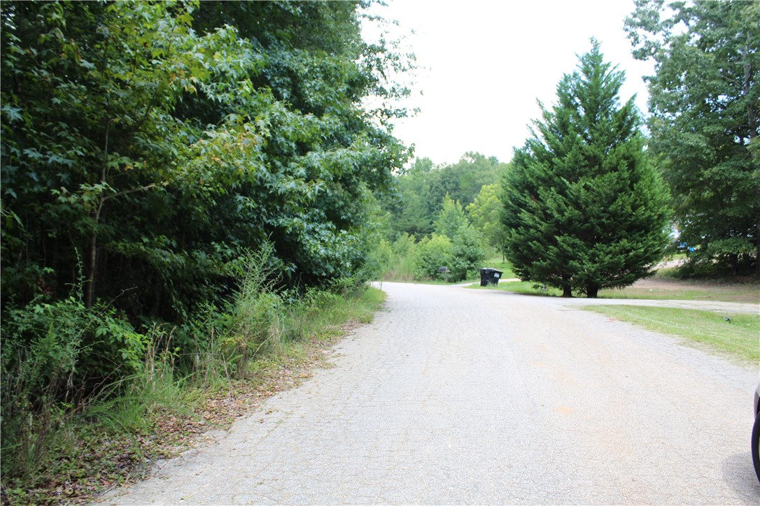 108 Thorn Ridge Lane Pelzer, SC 29669 - Photo 4 of 5
