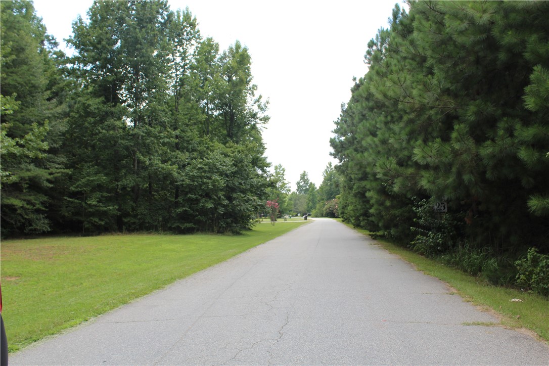 108 Thorn Ridge Lane Pelzer, SC 29669 - Photo 5 of 5