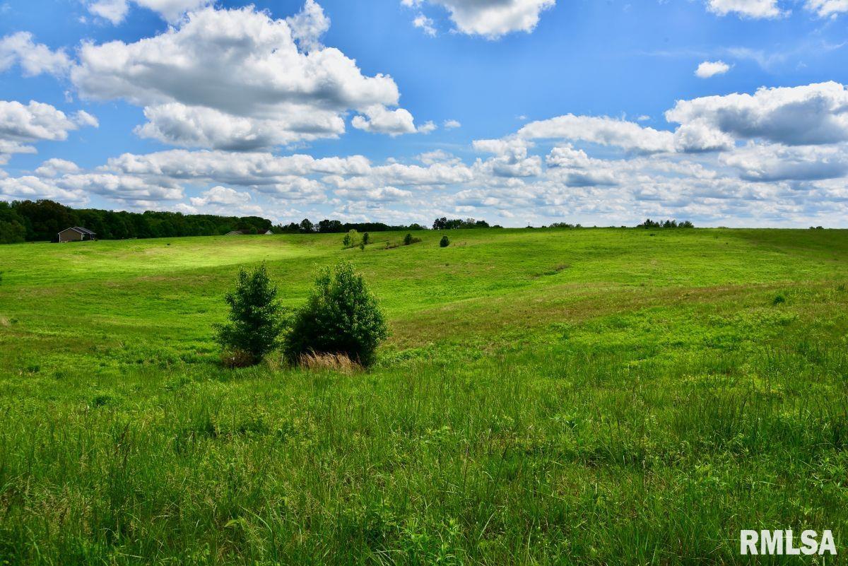 0 Campground Road Anna, IL 62906 - Photo 8 of 29