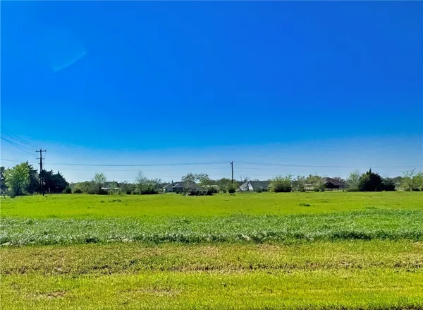 a view of a grassy field with an trees