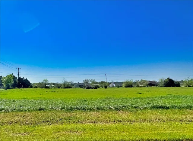 a view of a grassy field with an trees