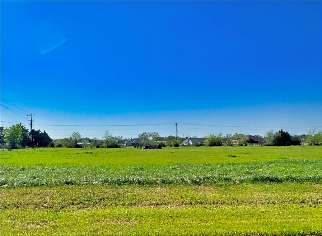 a view of a grassy field with an trees