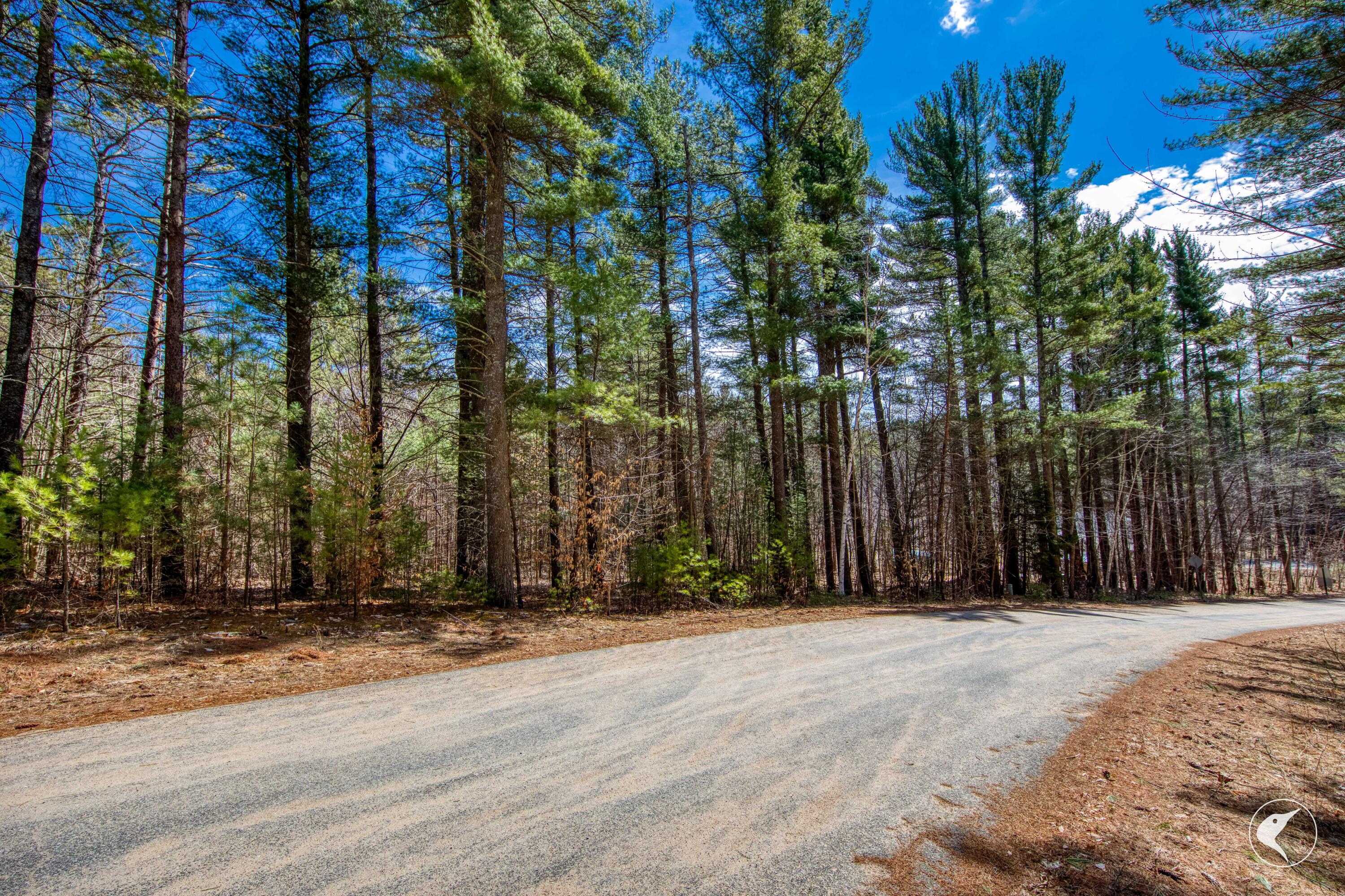 0 Pine Ridge Road Wilmington, NY 12997 - Photo 3 of 10 AA7A3597