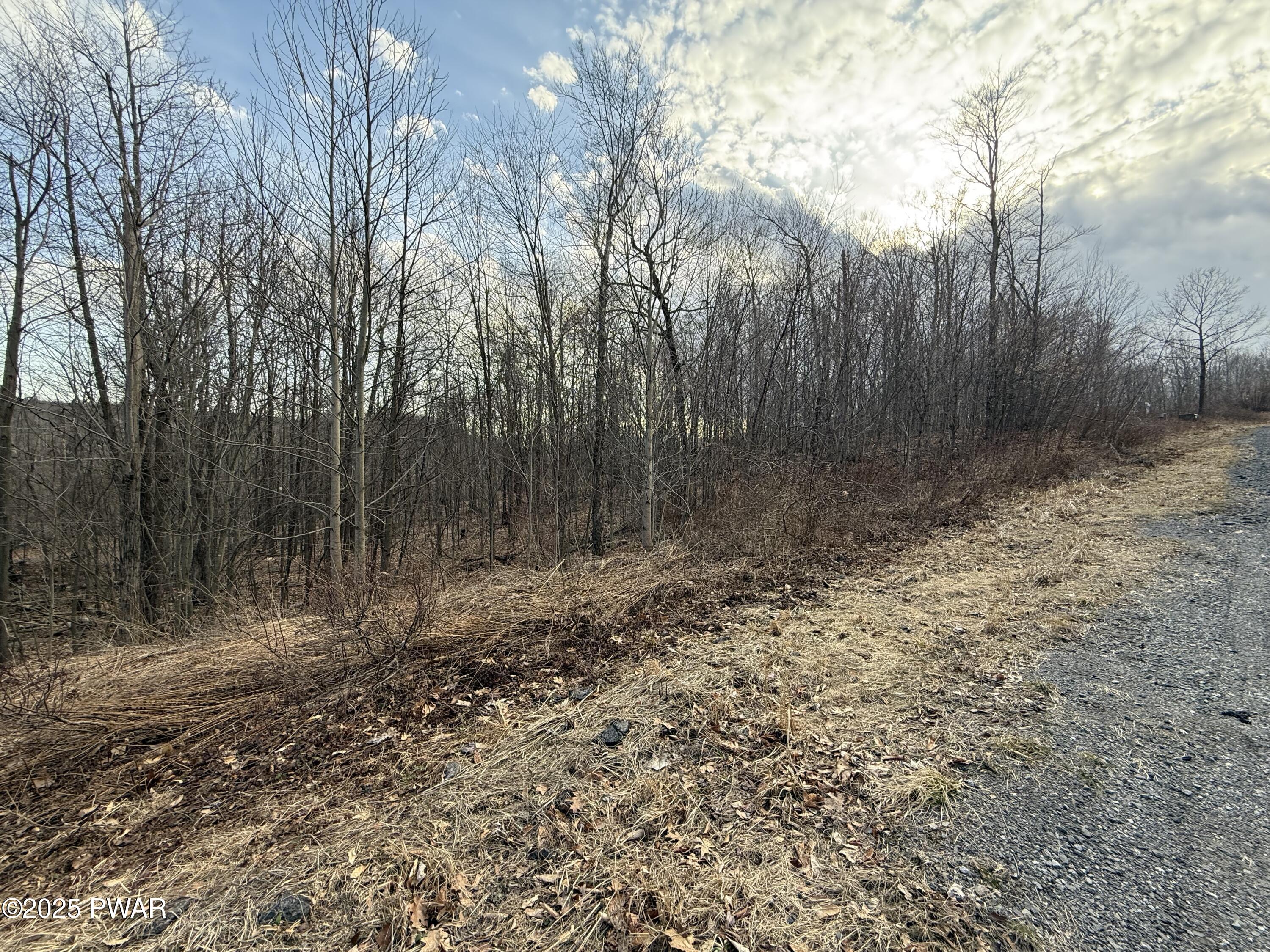 81 Summit Woods Road Moscow, PA 18444 - Photo 4 of 5