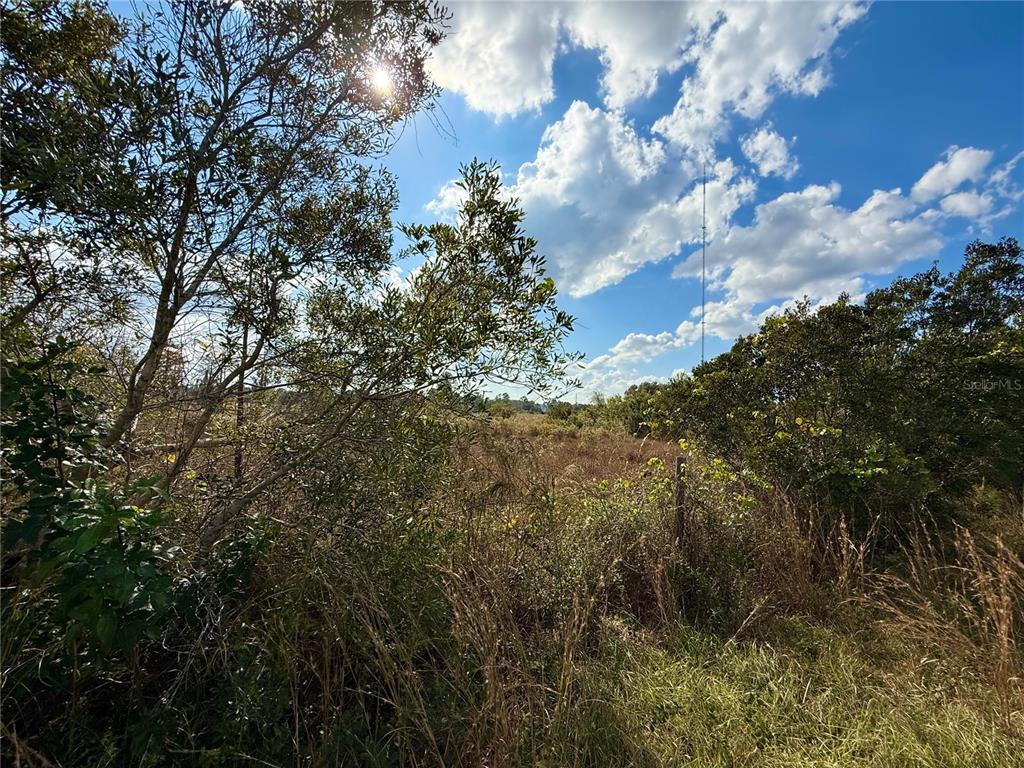 9 South Fort Christmas Road Christmas, FL 32709 - Photo 19 of 33