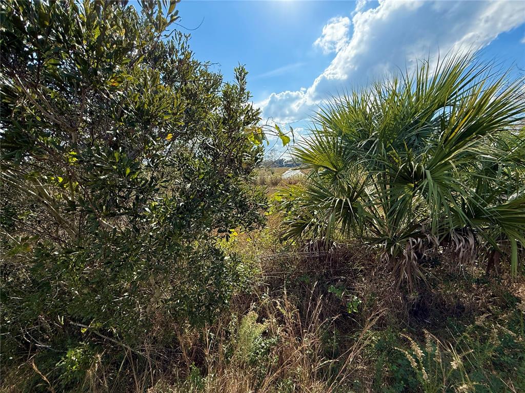 9 South Fort Christmas Road Christmas, FL 32709 - Photo 20 of 33