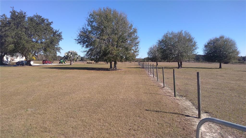 12051 Avon Park Cut Off Road Fort Meade, FL 33841 - Photo 5 of 10 a view of a yard with trees