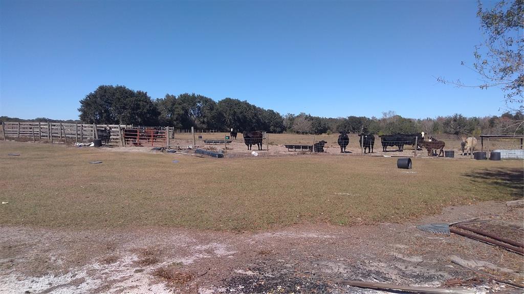 12051 Avon Park Cut Off Road Fort Meade, FL 33841 - Photo 10 of 10 a view of dirt field and mountains