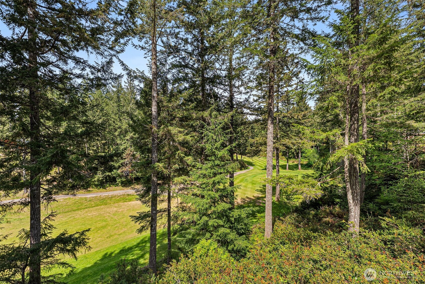 80 East Rhododendron Lane Union, WA 98592 - Photo 2 of 40 Gallery Image 2