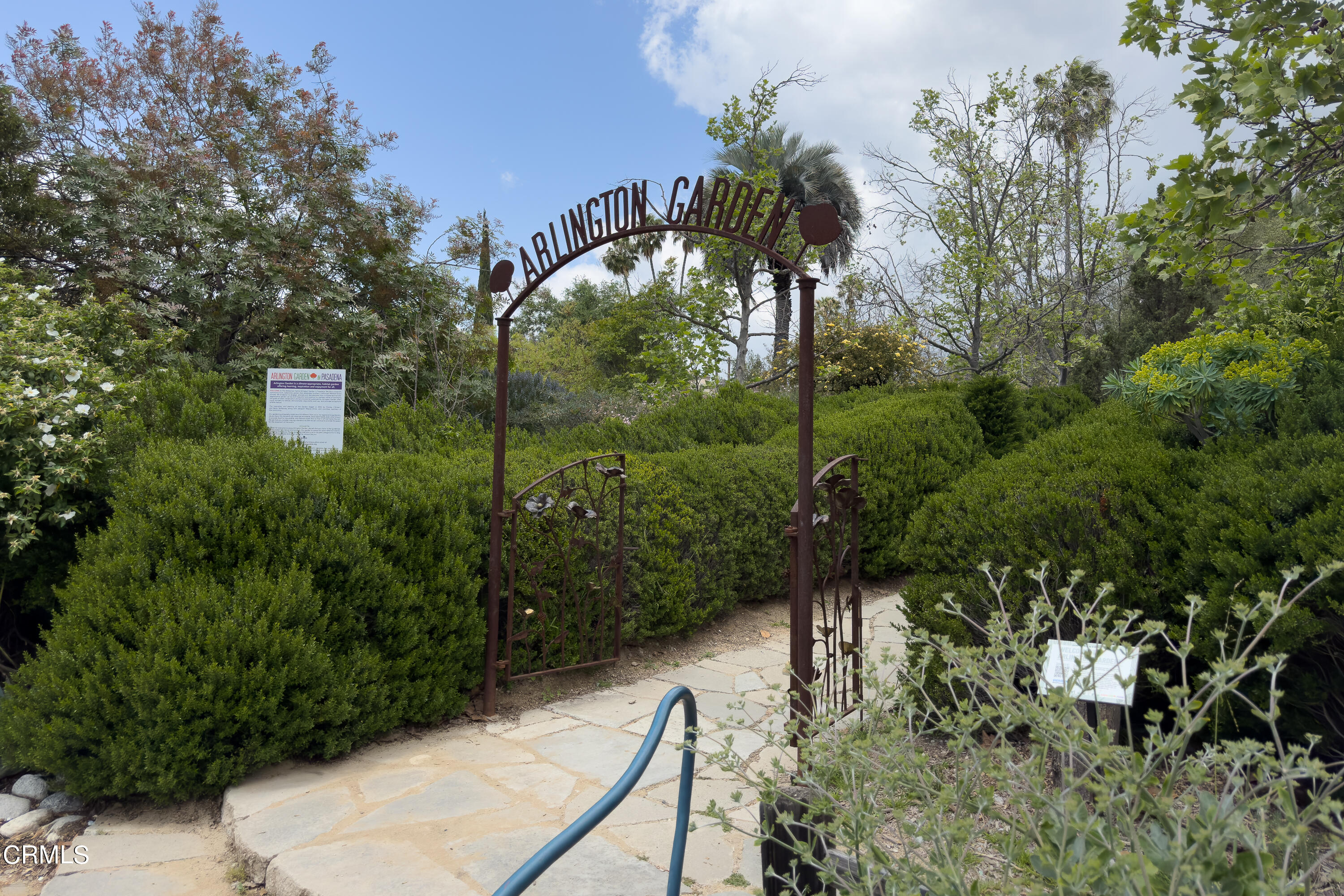 307 Arlington Drive Pasadena, CA 91105 - Photo 47 of 50 a view of a yard with plants and a bench