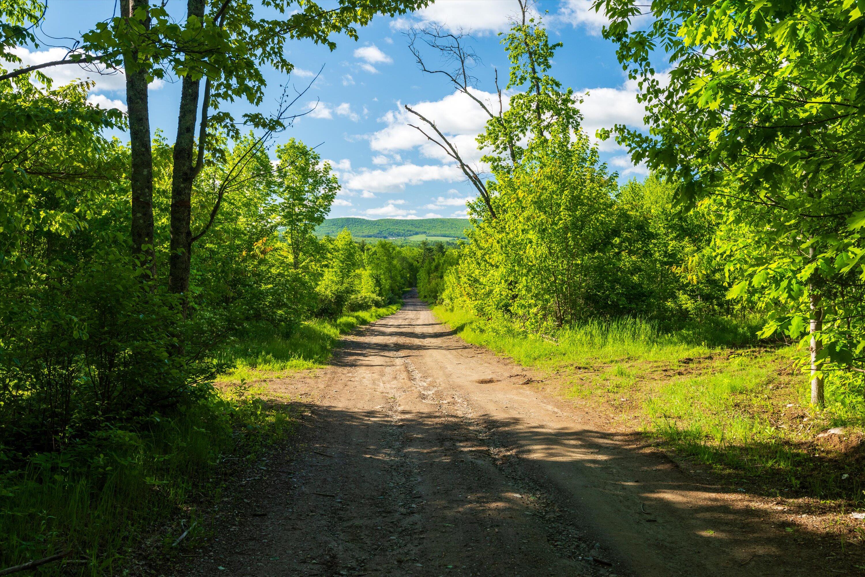 M10-l30 Troy Center Road Dixmont, ME 04932 - Photo 10 of 33 02-Private road looking South