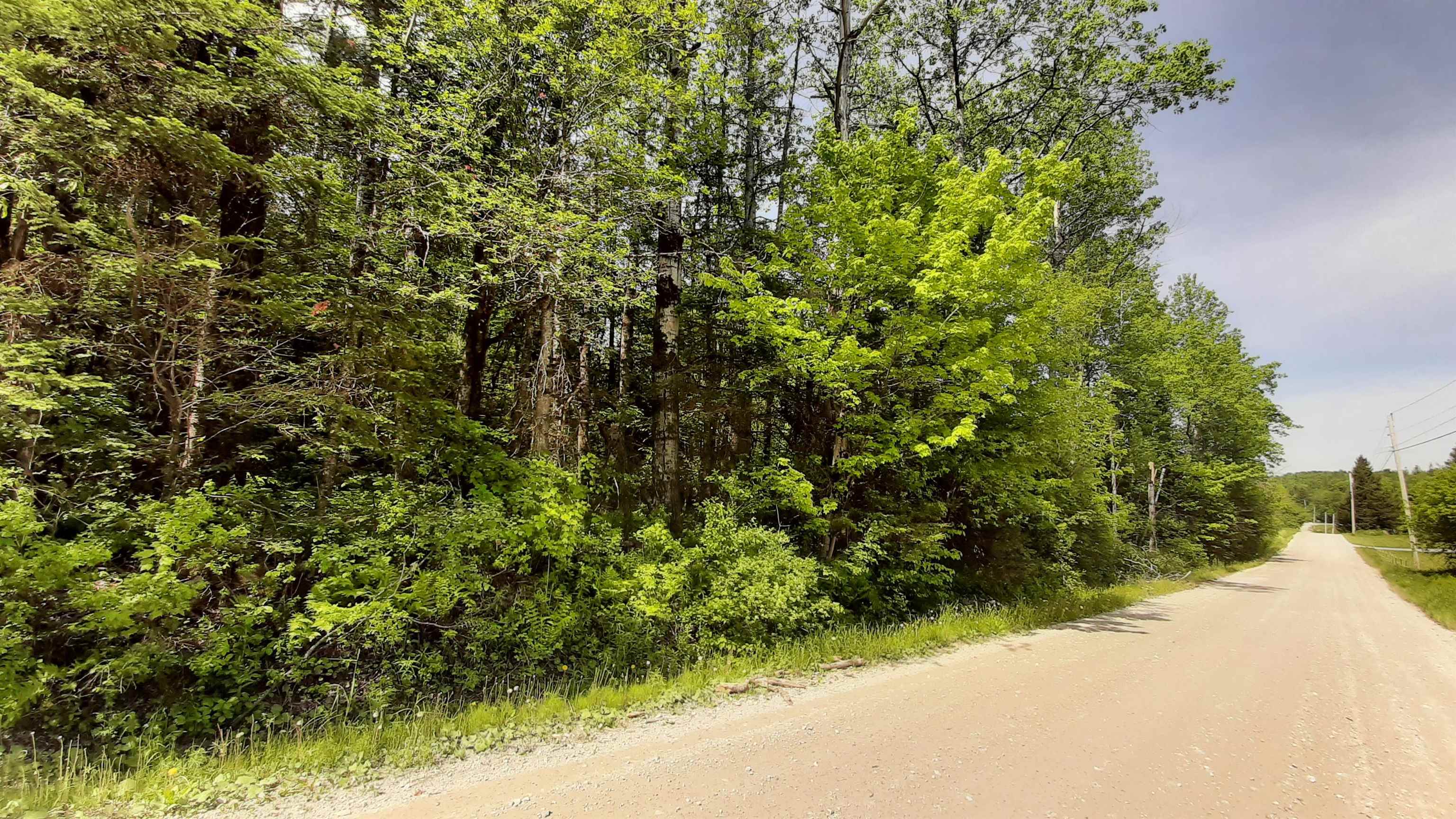 0 Summit Road Mount Holly, VT 05758 - Photo 6 of 37