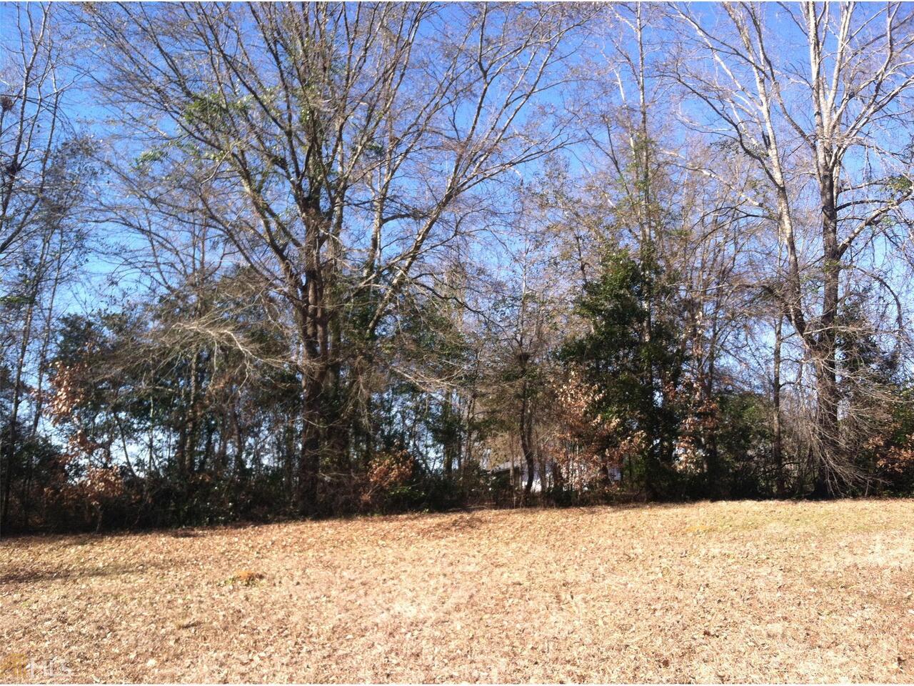 0 J Ran Cooper Road Rupert, GA 31081 - Photo 1 of 1 Gallery Image 1