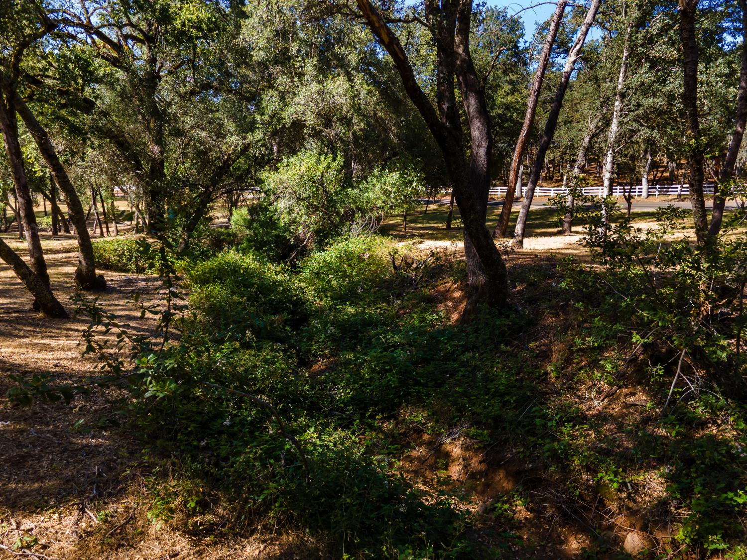 3300 Ponderosa Road Shingle Springs, CA 95682 - Photo 38 of 44
