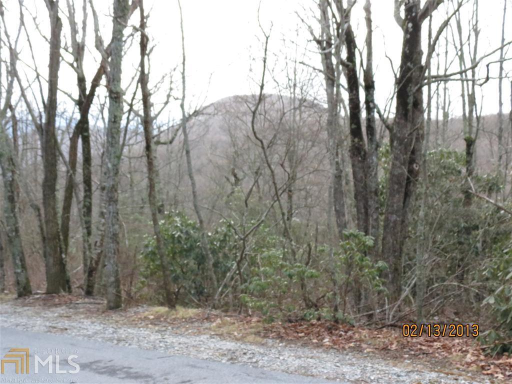 0 Falcon Ridge Road, Unit 47 Sapphire, NC 28774 - Photo 1 of 1 view