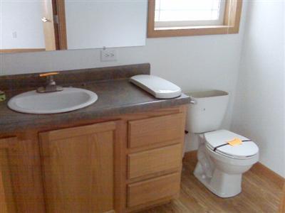 10305 Alpine Drive Reed City, MI 49677 - Photo 5 of 8 Additional Photo