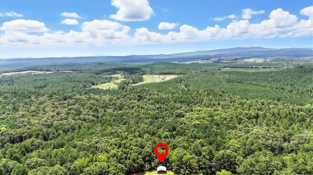 0 George Road Southwest Cave Spring, GA 30124 - Photo 10 of 22