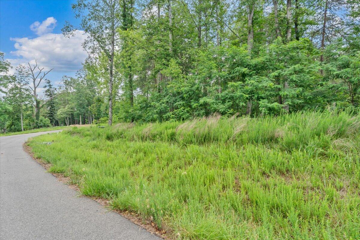 Lot 85 Crestview Road Wirtz, VA 24184 - Photo 10 of 23 13-MIB08541