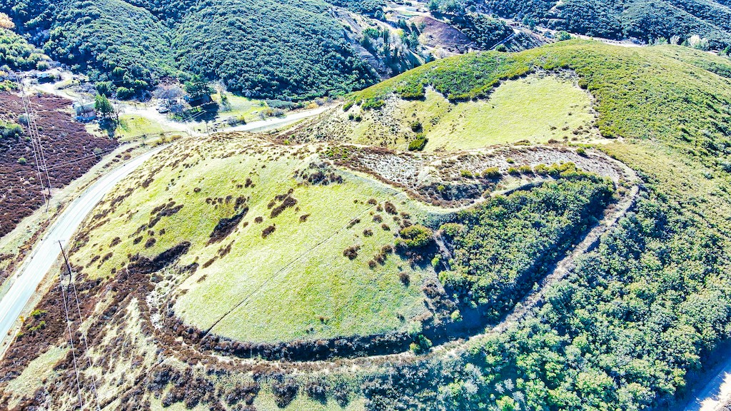 1 Bouquet Canyon Road Santa Clarita, CA 91390 - Photo 18 of 23 a view of a plant in a garden