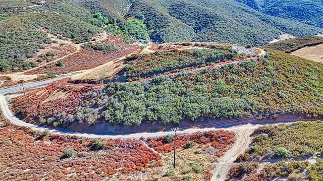 a view of a lot of flowers and yard