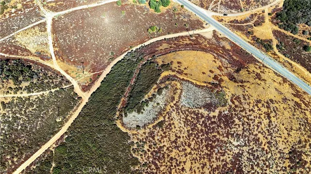 a view of a yard with plants