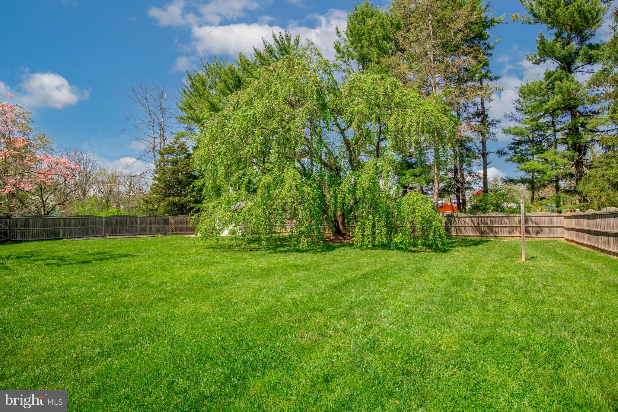 2105 Hemlock Road Norristown, PA 19403 - Photo 20 of 21 Gallery Image 20