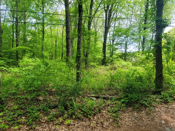 $42,500 | 33 A Laurel Point Drive, Montville, CT 06370