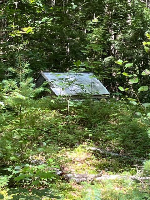 564 Bisbee Town Road Waterford, ME 04088 - Photo 12 of 17 IMG_6283