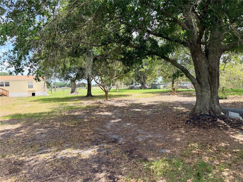 33 Ridge Road Frostproof, FL 33843 - Photo 18 of 21 a view of outdoor space with trees