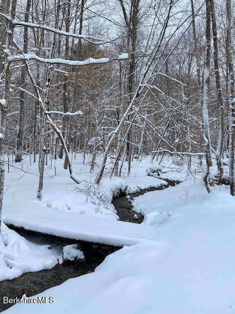963 Hancock Road Williamstown, MA 01267 - Photo 54 of 60 Winter Stream