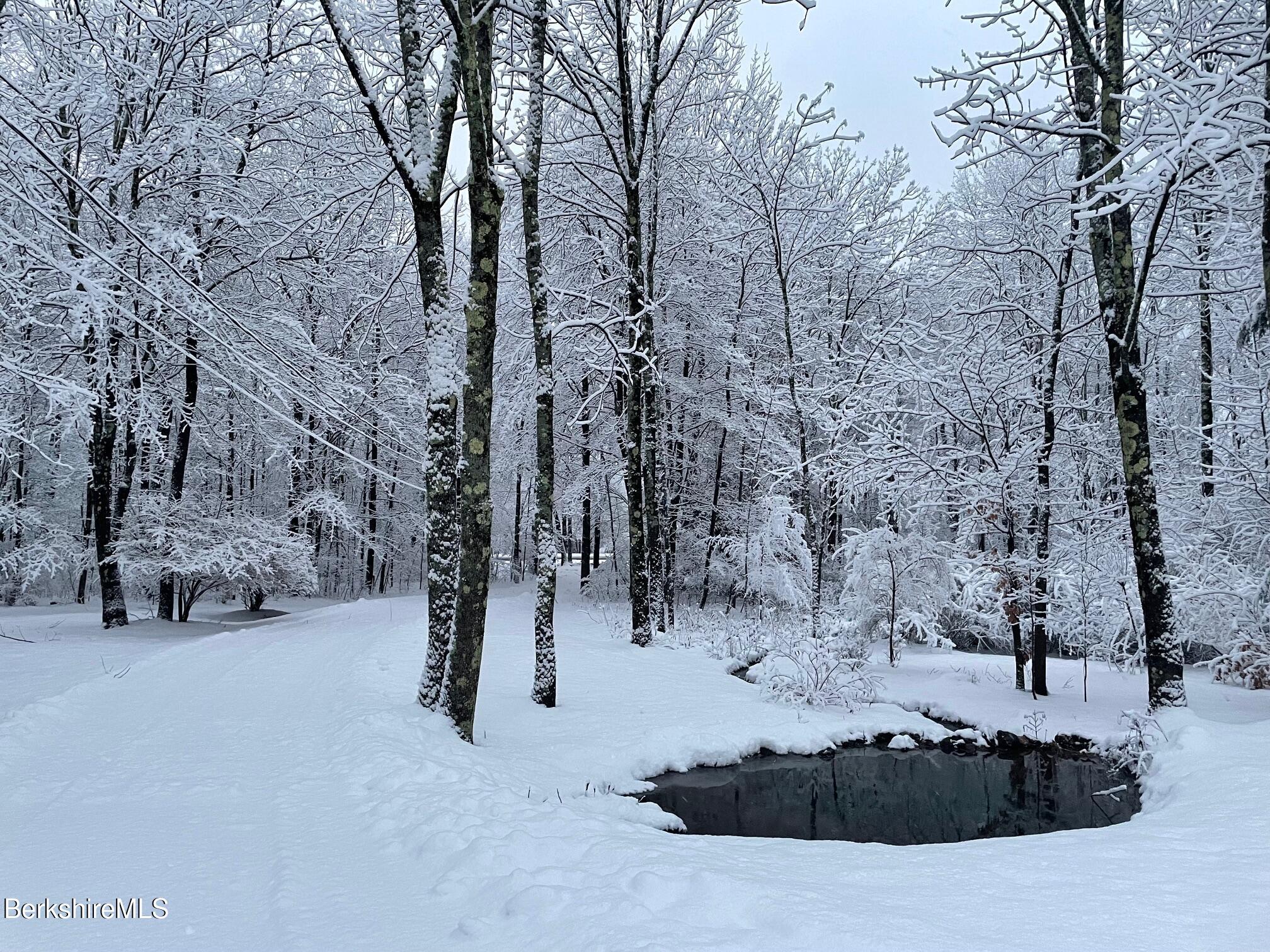 963 Hancock Road Williamstown, MA 01267 - Photo 56 of 60 Winter pond
