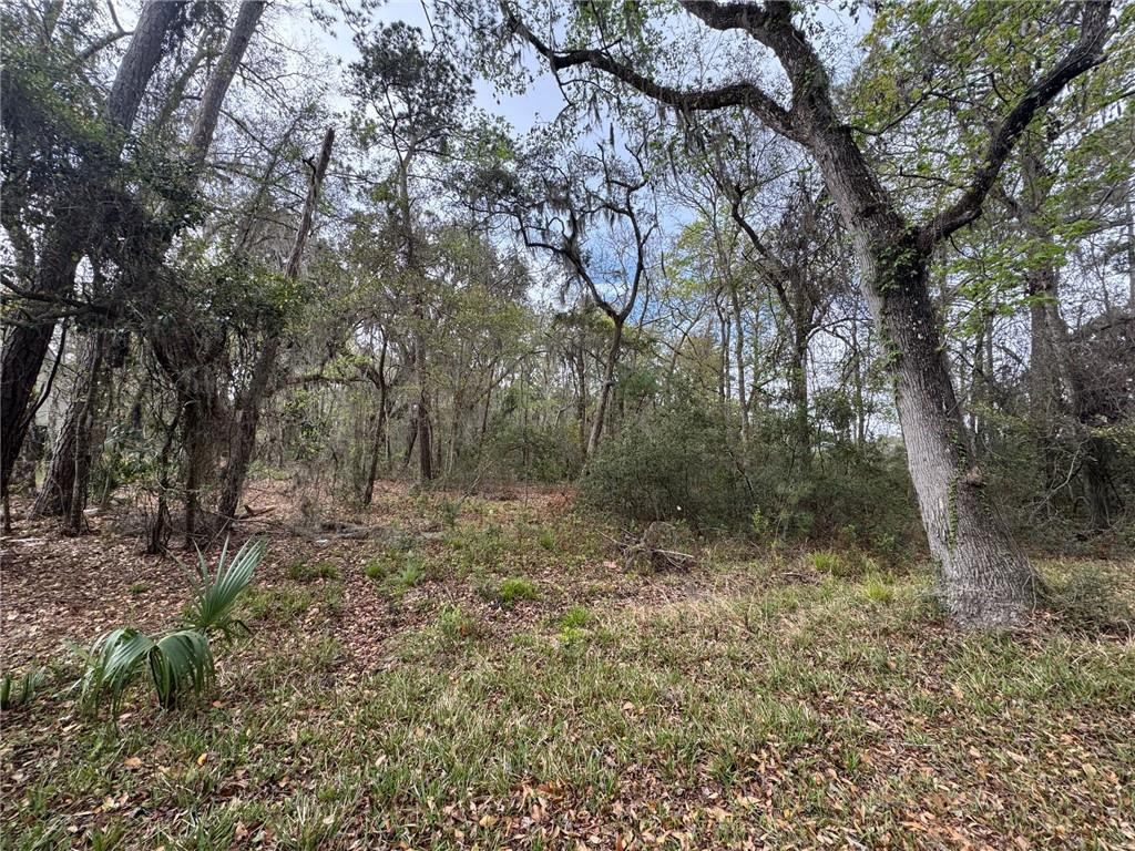 6001 Frederica Road St. Simons Island, GA 31522 - Photo 2 of 12