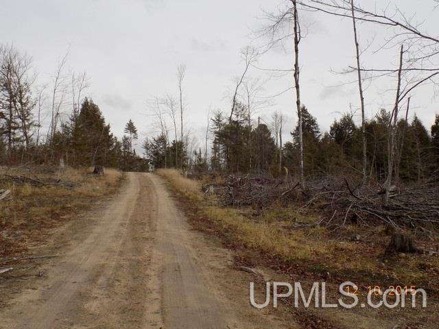 N4105 Powell Lake Road Wetmore, MI 49895 - Photo 4 of 18