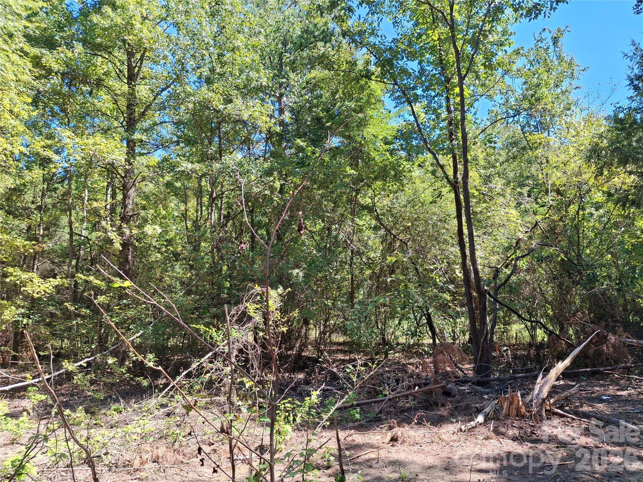 551 Paul Ford Road Clover, SC 29710 - Photo 3 of 3 Gallery Image 3