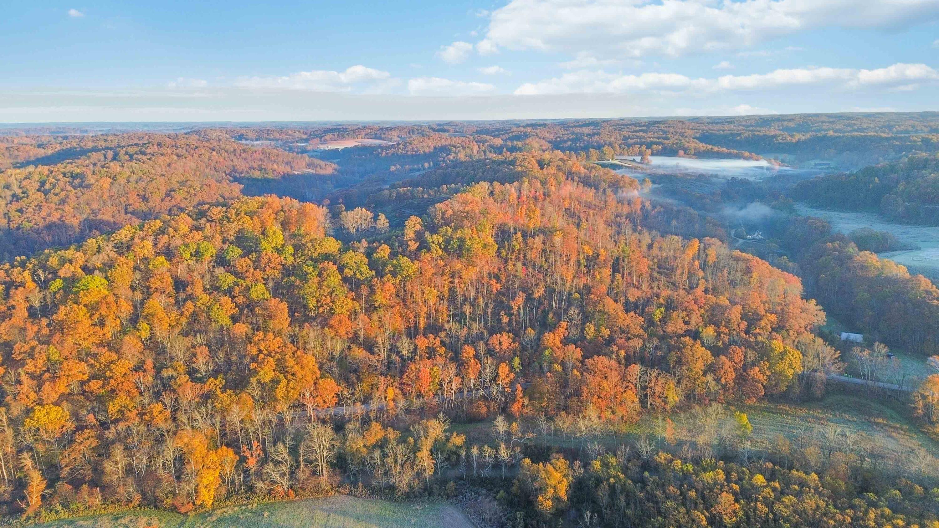 0 Terrells Creek Road London, KY 40741 - Photo 5 of 13 004