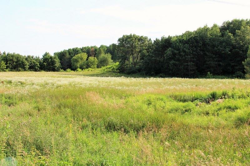 0 County Rd EE Amherst, WI 54406 - Photo 1 of 1