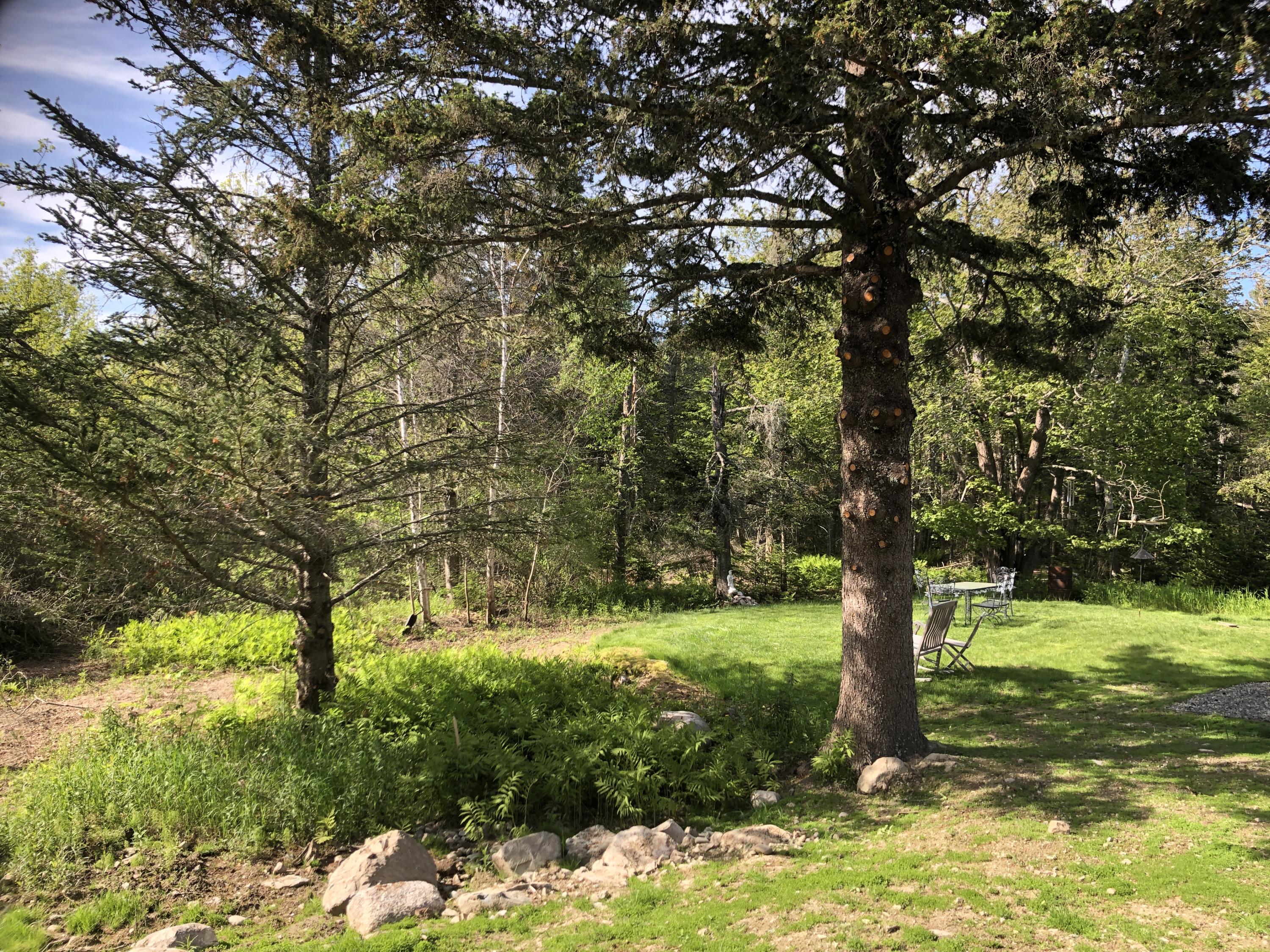 37 Cape Road Seal Cove, ME 04674 - Photo 26 of 30 26