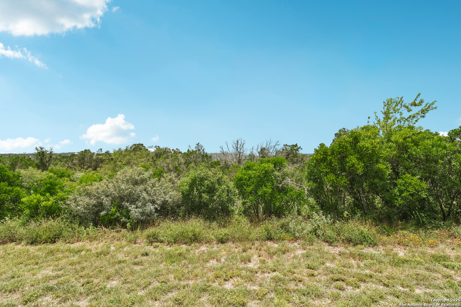 0 County Road 2753 Mico, TX 78056 - Photo 5 of 14
