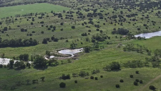 a view of a lush green field