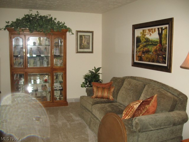 19109 Edwards Road Doylestown, OH 44230 - Photo 8 of 23 Gallery Image 8