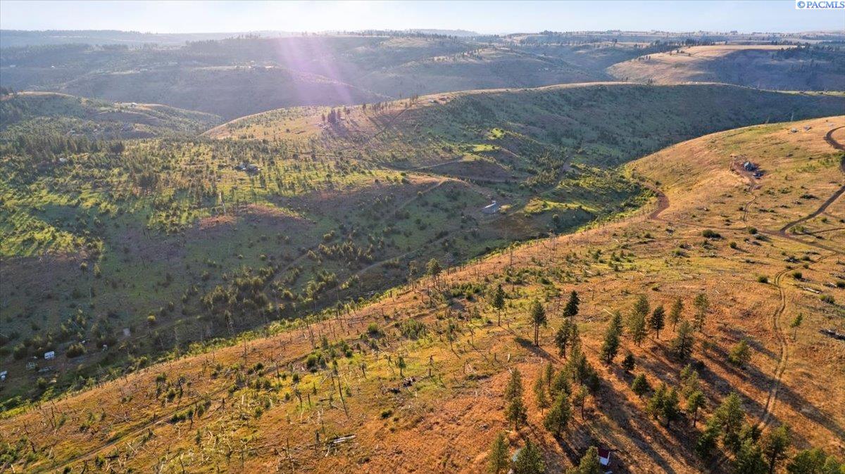 Lot1-tbd Lot1-tbd Stevens Ridge Pomeroy, WA 99347 - Photo 19 of 47 Gallery Image 19