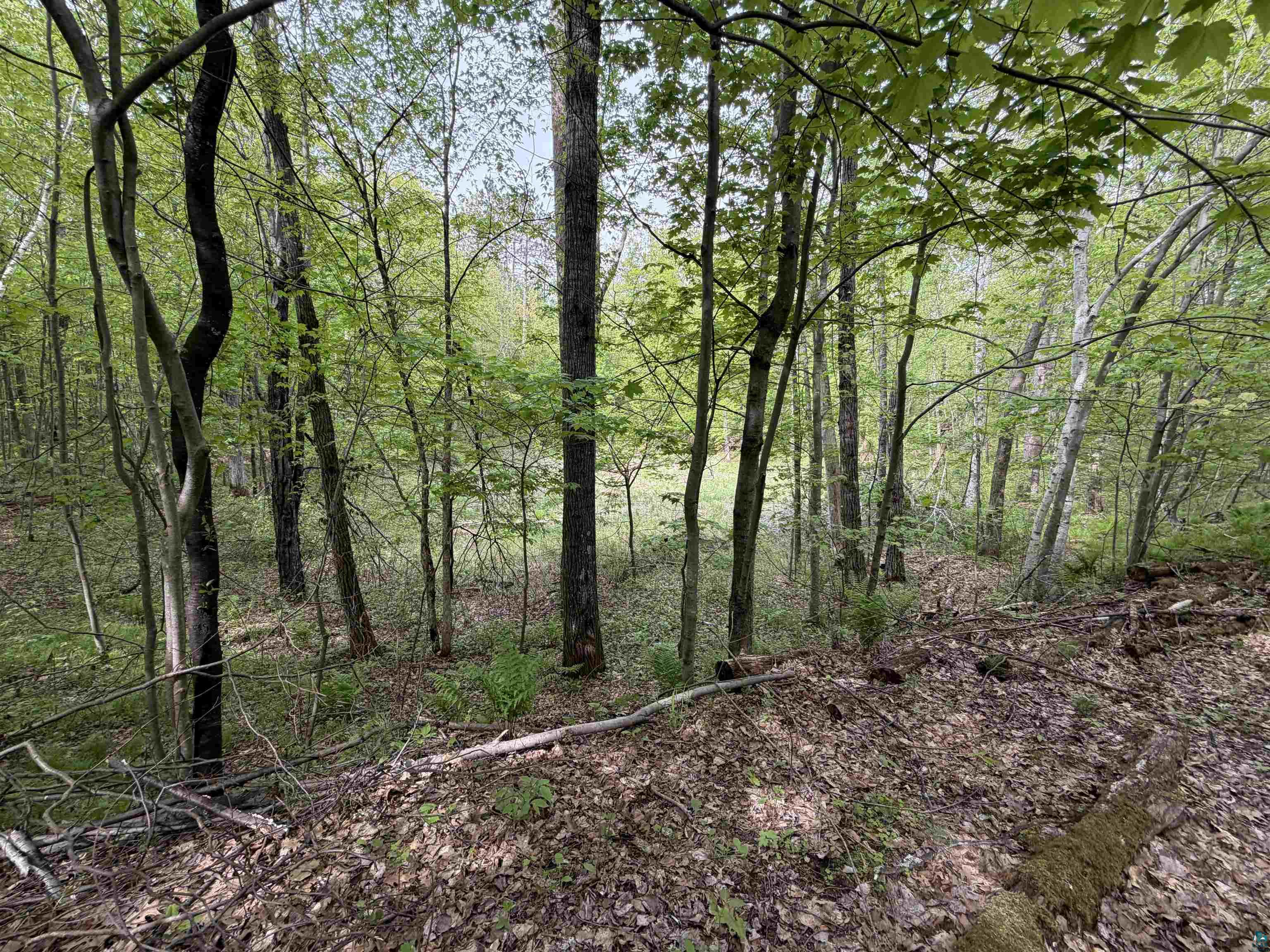 Lot 4 Peterson Road Minong, WI 54859 - Photo 3 of 7