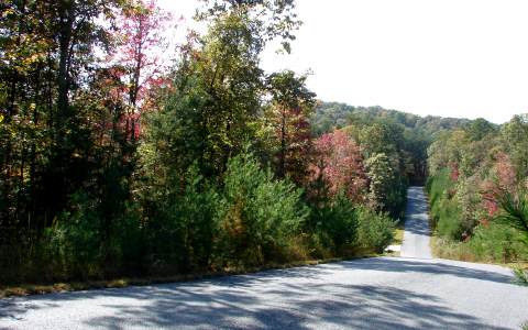 17 Autumn Ridge Road Mineral Bluff, GA 30559 - Photo 1 of 1 Main View