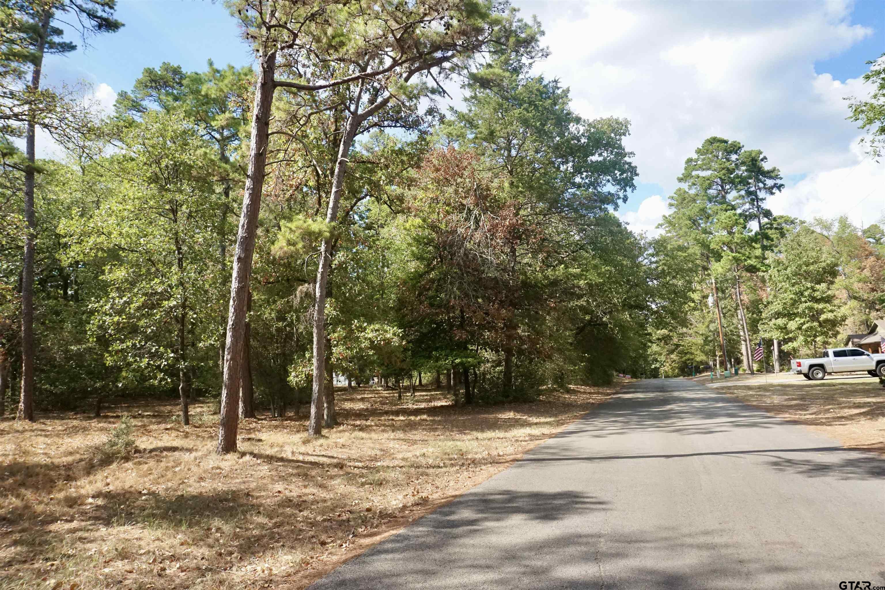 Tbd Tbd Holly Lake Ranch, TX 75765 - Photo 7 of 19 Gallery Image 7
