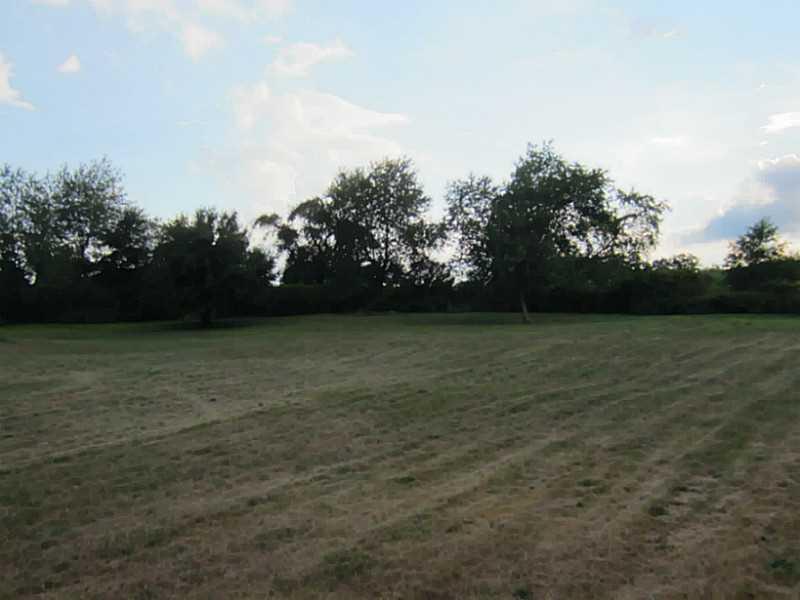 116 McGrady Road Fenelton, PA 16034 - Photo 4 of 21 Yard/Garden.