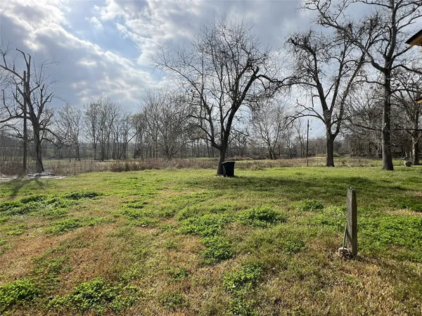a view of a field with trees